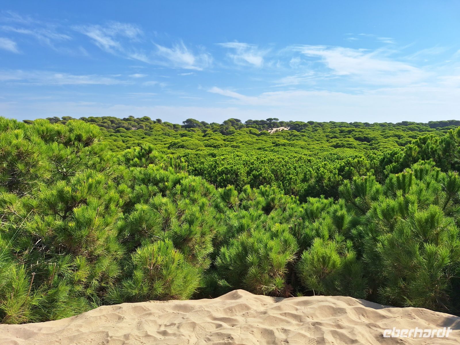 Nationalpark Donana