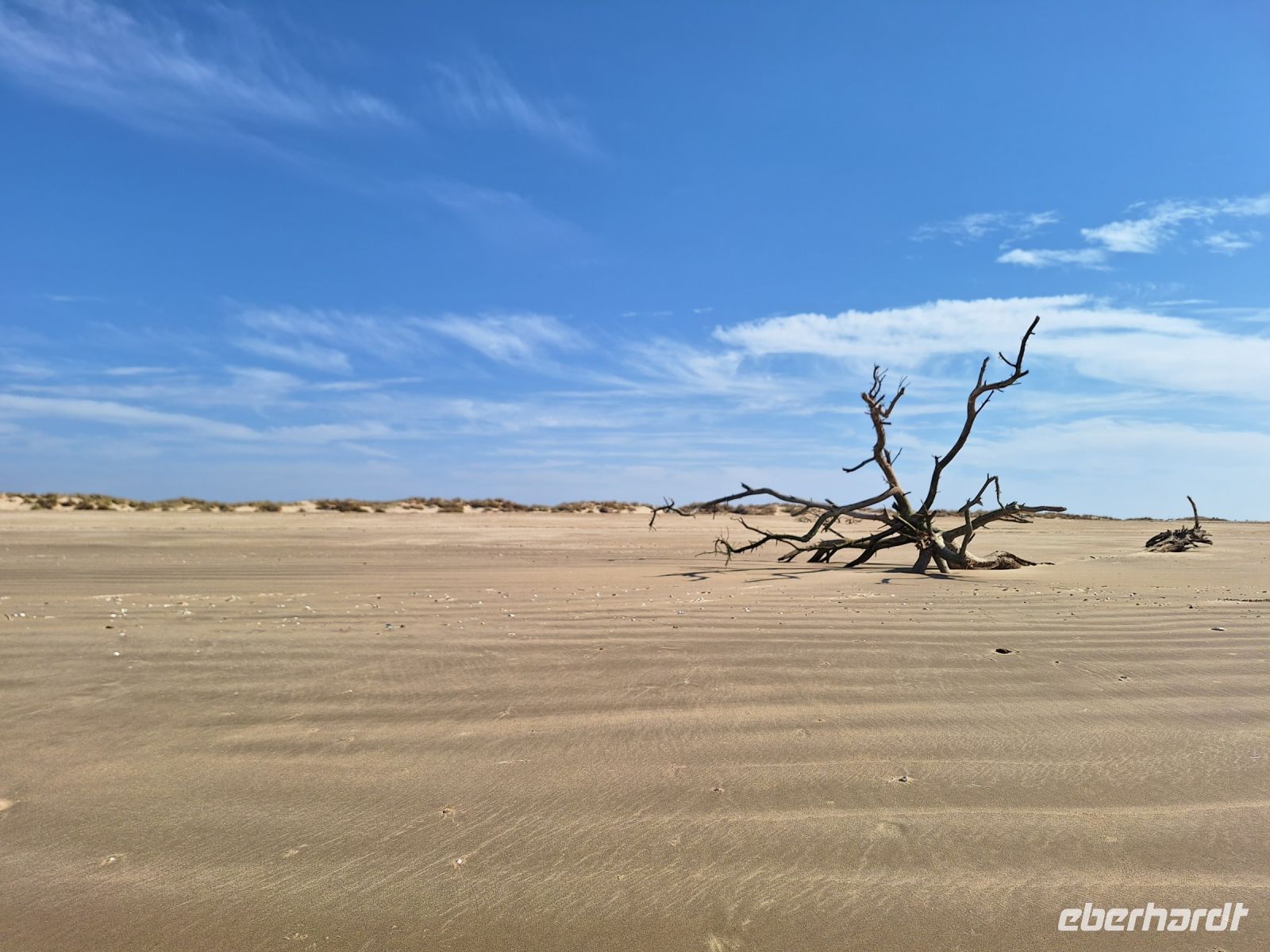 Nationalpark Donana