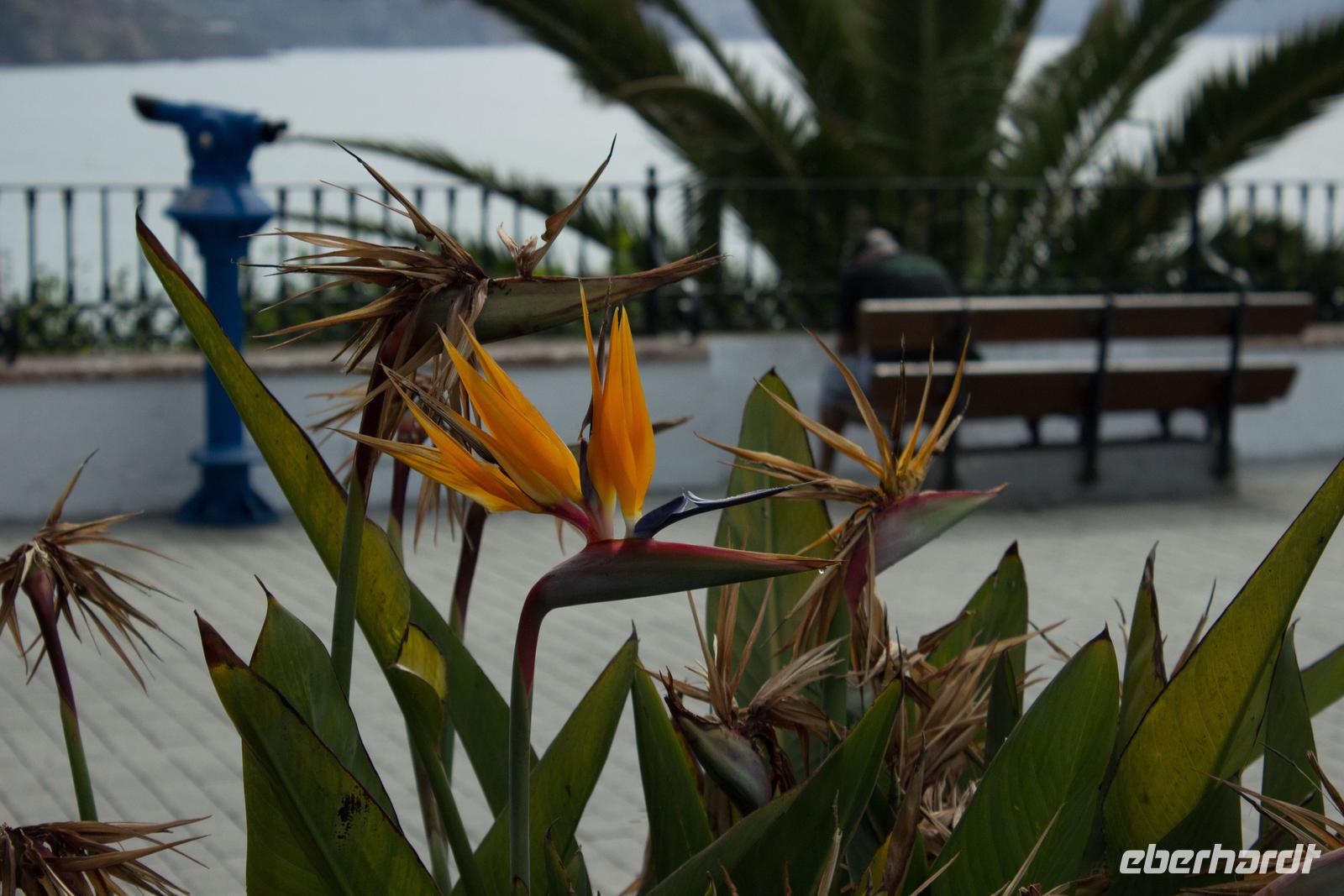 Nerja