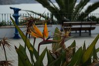 Nerja