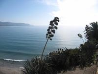 Nerja
