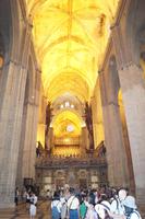 Nur ein Schiff der größten gotischen Kathedrale des Mittelalters