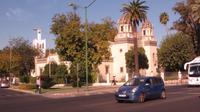 Palmen-alle Sevilla 