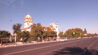 Palmen-alle Sevilla 