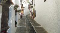 Pamapaneira - Alpujarra 