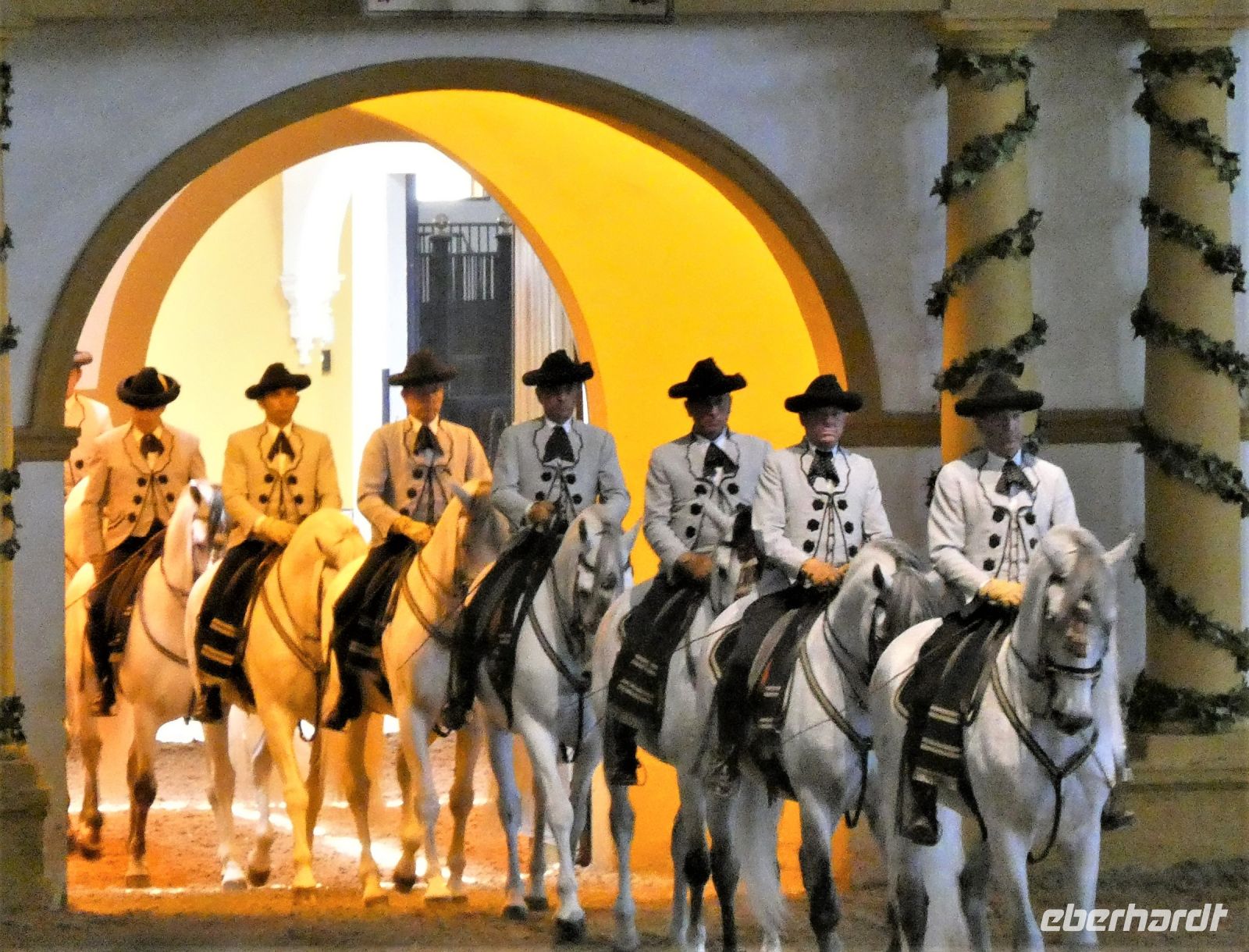 Parade der Schimmel