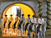 Parade der Schimmel