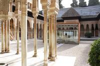 Patio del Leon