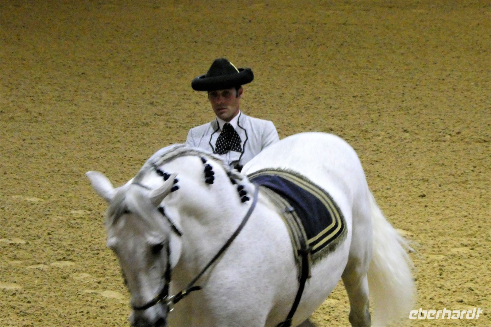 Pferd und Reiter