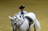 Pferd und Reiter