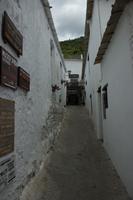 Portugos
