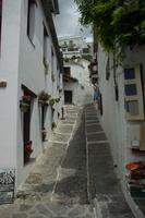 Portugos