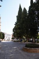Rathausplatz, Ronda 