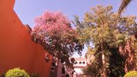 Real Alcazar - Sevilla