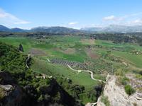 Ronda15