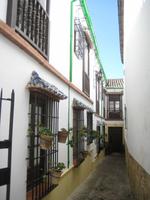 Ronda9