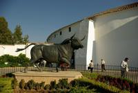 Ronda_Arena (2)