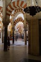 Säulenwald Córdoba