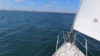 Segelboot-Tour (40)
