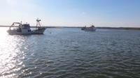 Segelboot-Tour (47)