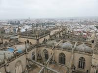 Sevilla - Blick vom Giralda-Glockenturm der Kathedrale