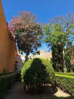 Sevilla: Alcázar