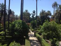Sevilla