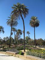 Sevilla