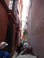 Sevilla14