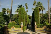 Sevilla_Alcasar (1)
