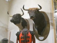 Sieger und Besiegte