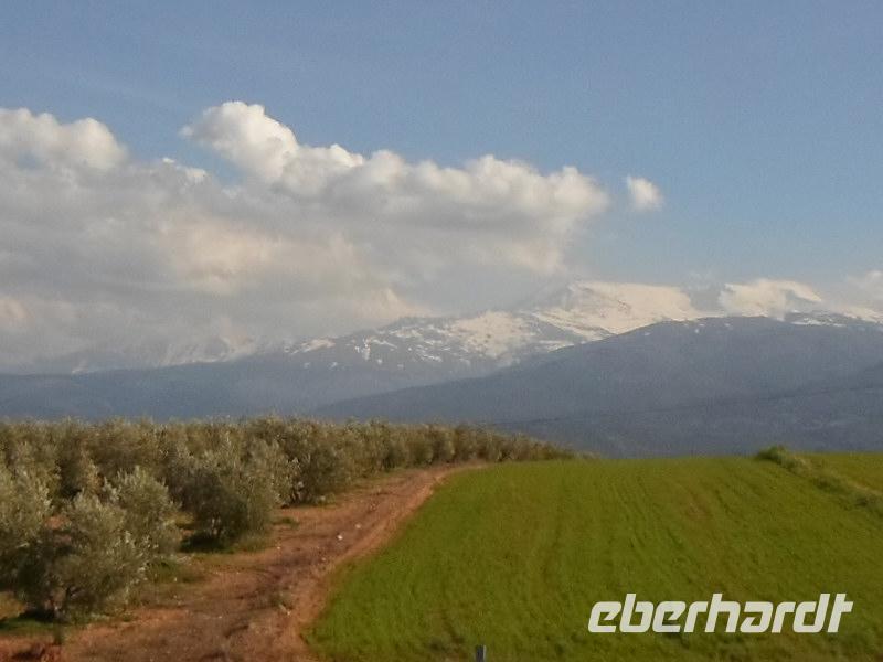 Sierra Nevada
