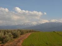 Sierra Nevada