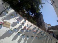 Spaziergang durch Marbella