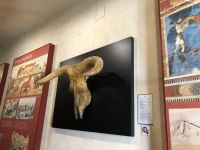 Stierkampf-Museum