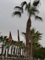 Valencia am Hafen