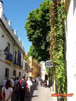 Viertel JuderÃ­a