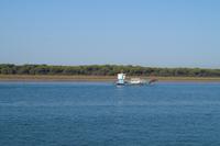 Vom Boot in den Coto de Doñana fotografiert