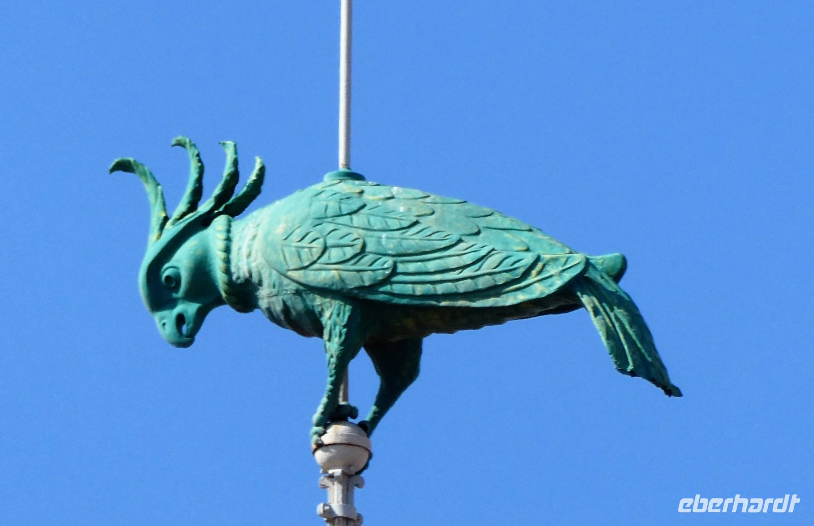 der grüne Papagei