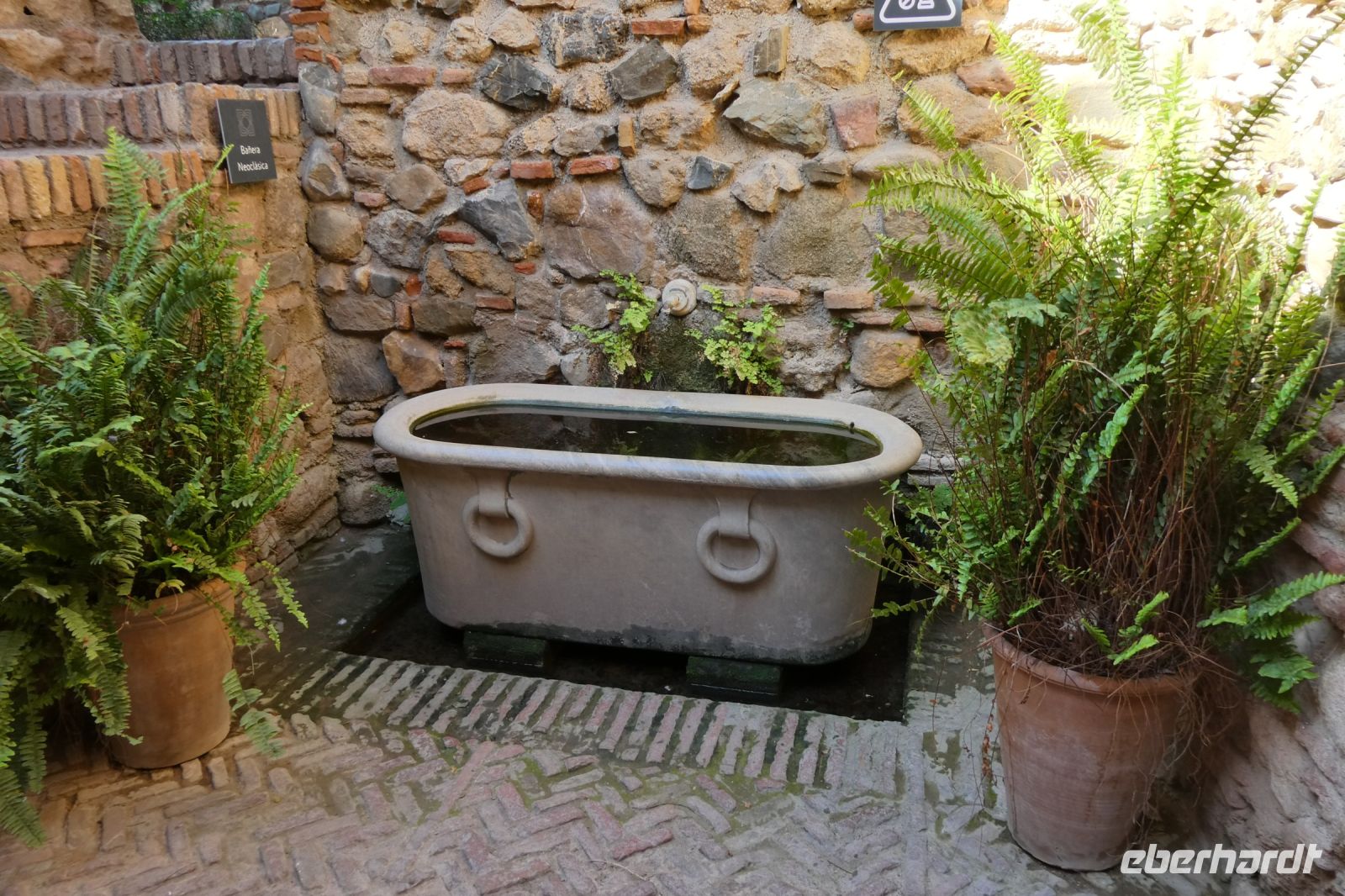 edler Wassertrog
