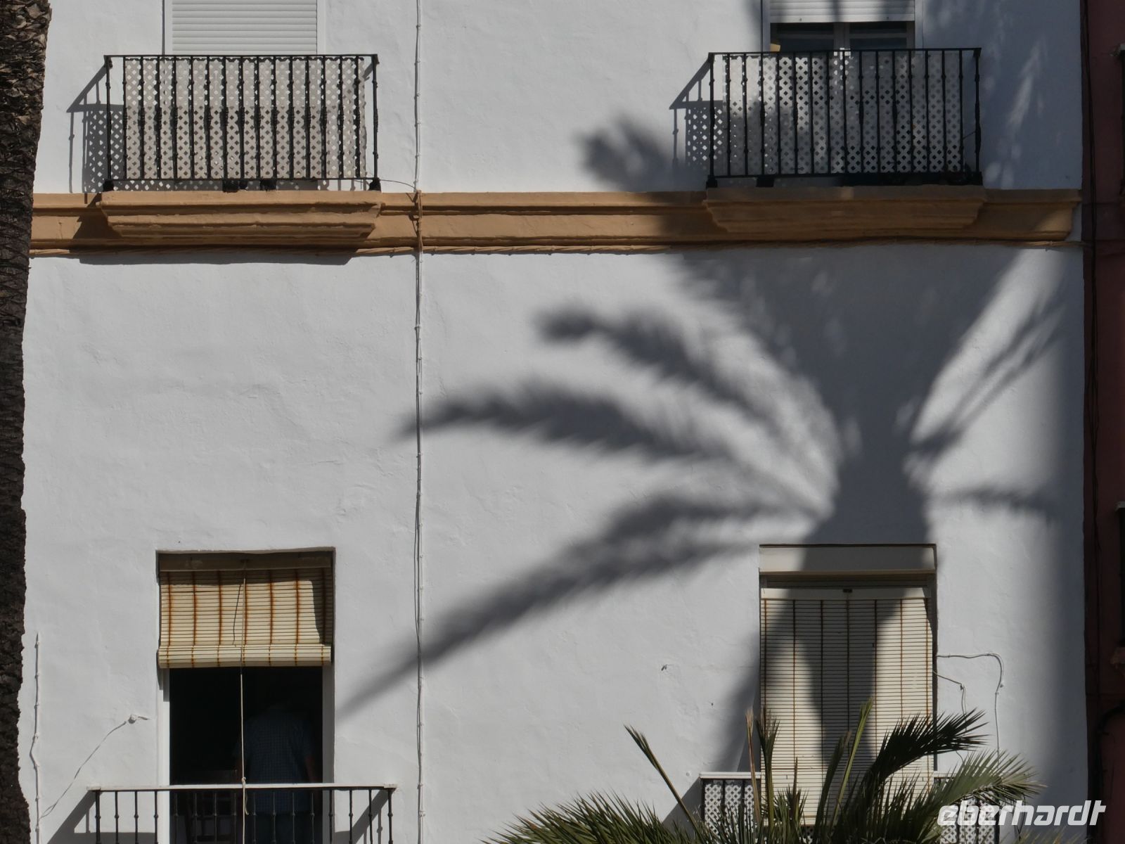 filigraner Schatten