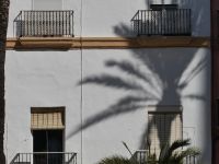 filigraner Schatten