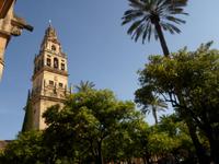 in Cordoba