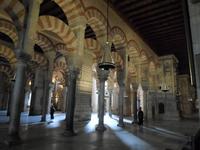 in Cordoba