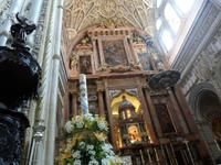 in Cordoba