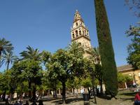 in Cordoba