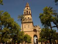 in Cordoba