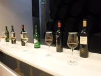 in Jerez- Besuch einer Bodega