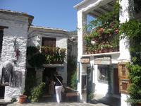 in Pampaneira