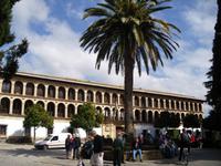 unterwegs in Ronda